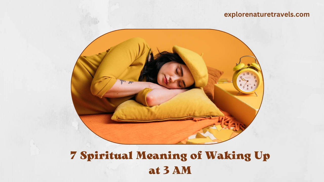 7 Spiritual Meaning of Waking Up at 3 AM